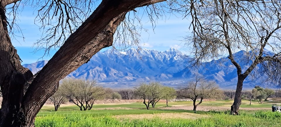 View from walking path
