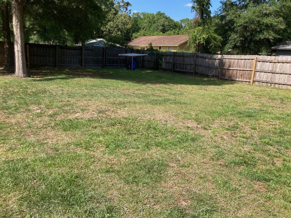 backyard