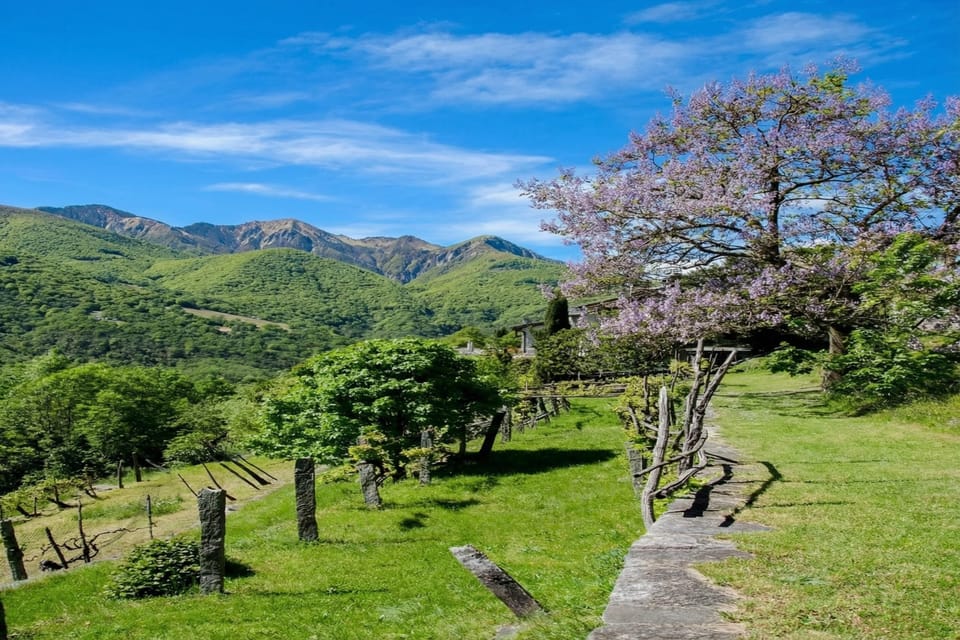 Surroundings