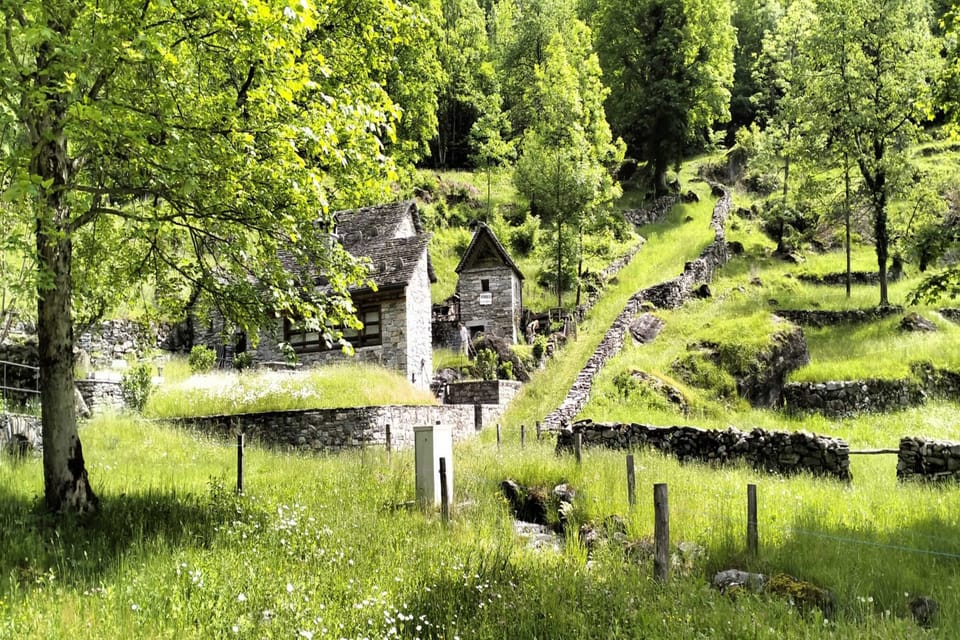 Surroundings