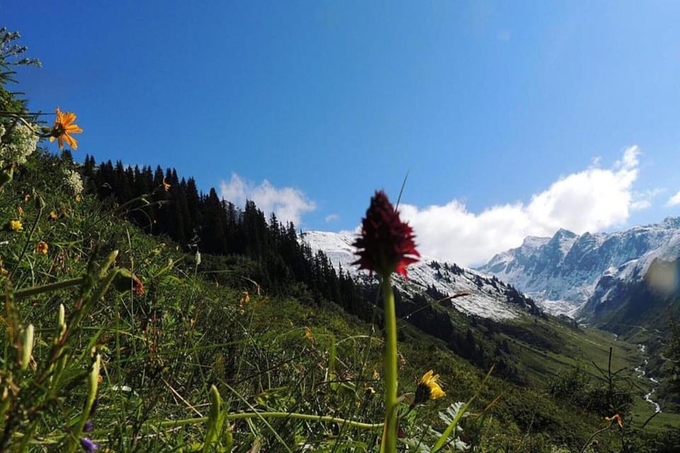 Region [summer] (>5 km)