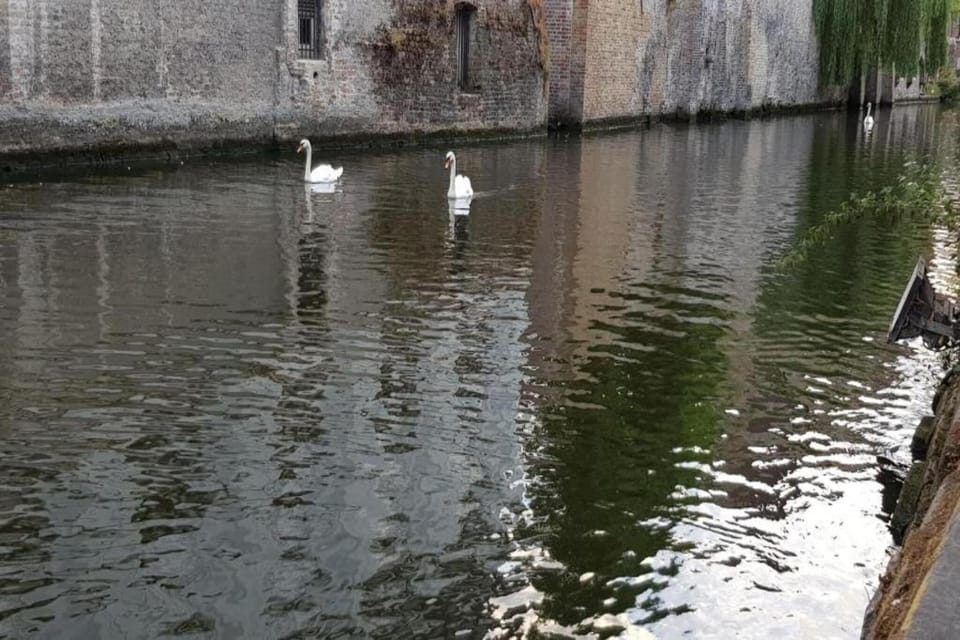 Region [summer] (>5 km)