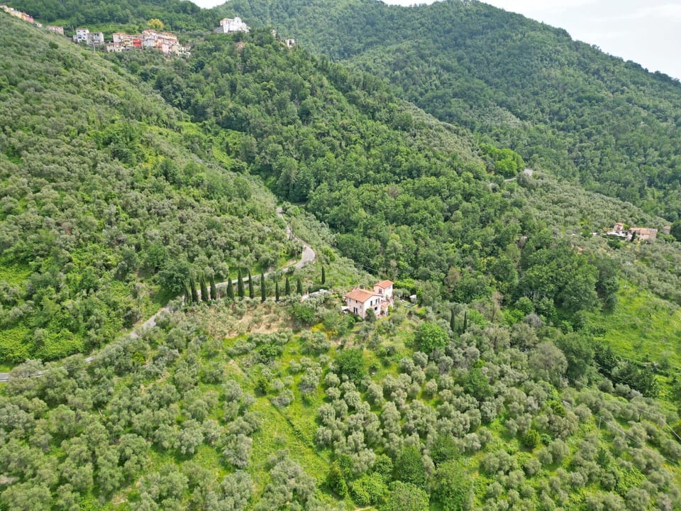 Garden, Outdoor