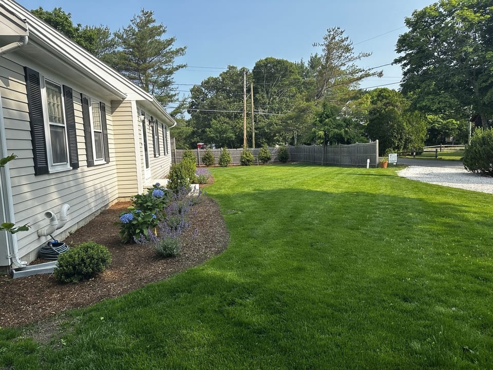 New landscaping and lush lawn 