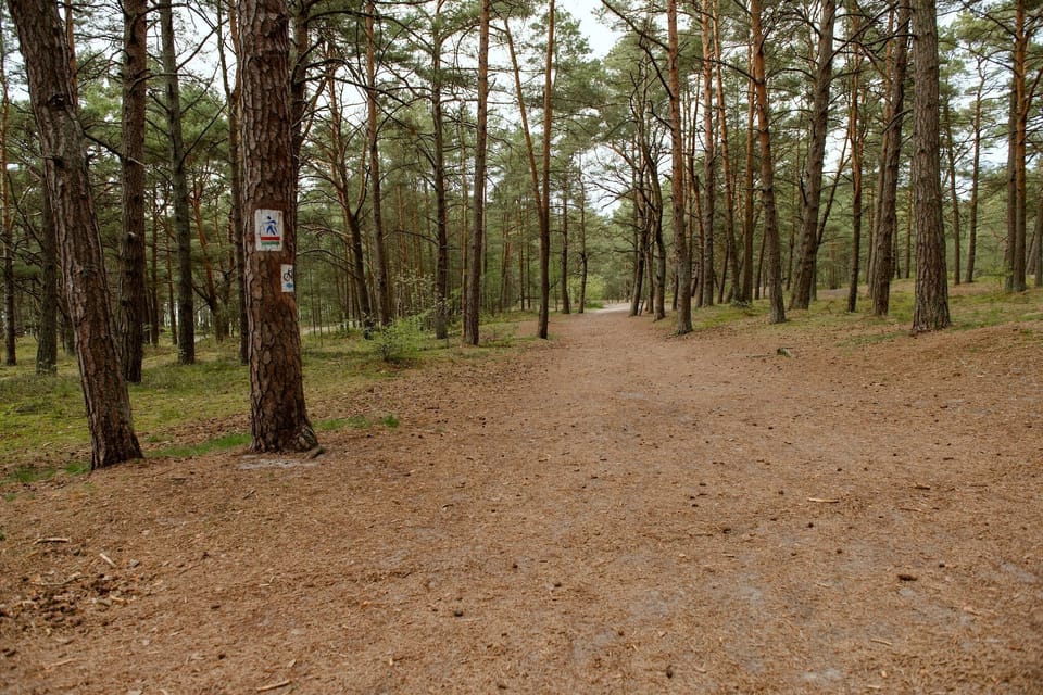Immediate Surroundings [summer] (<1 km)