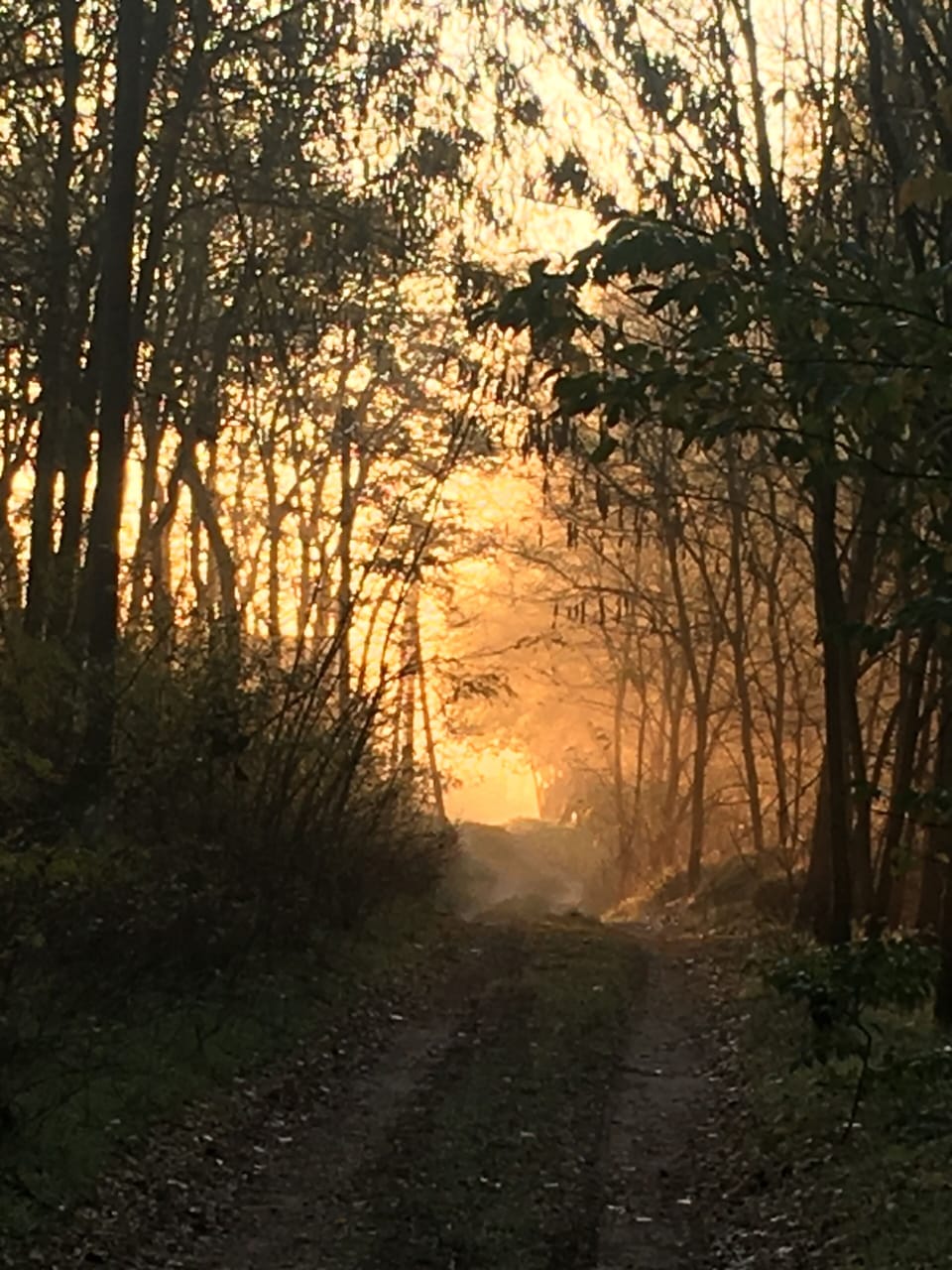 Road to property