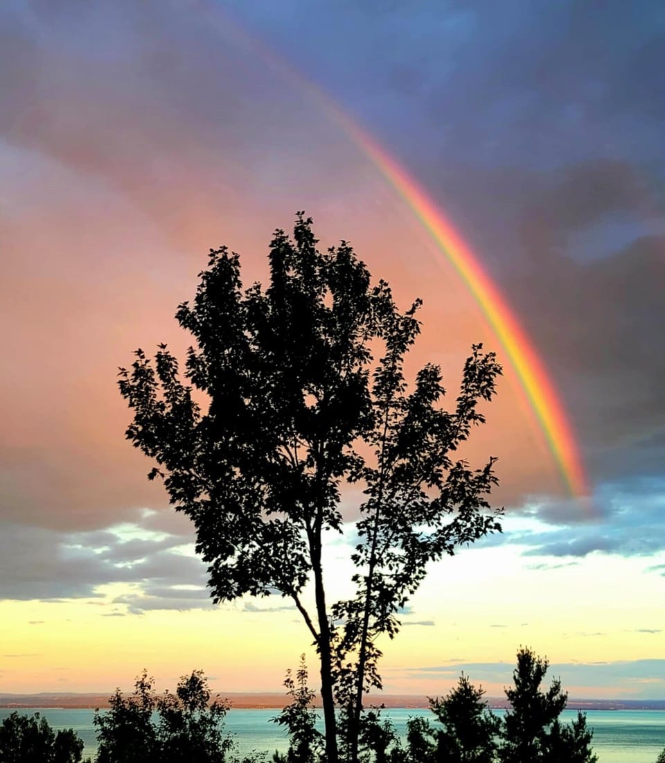 Rainbow (Harbour)