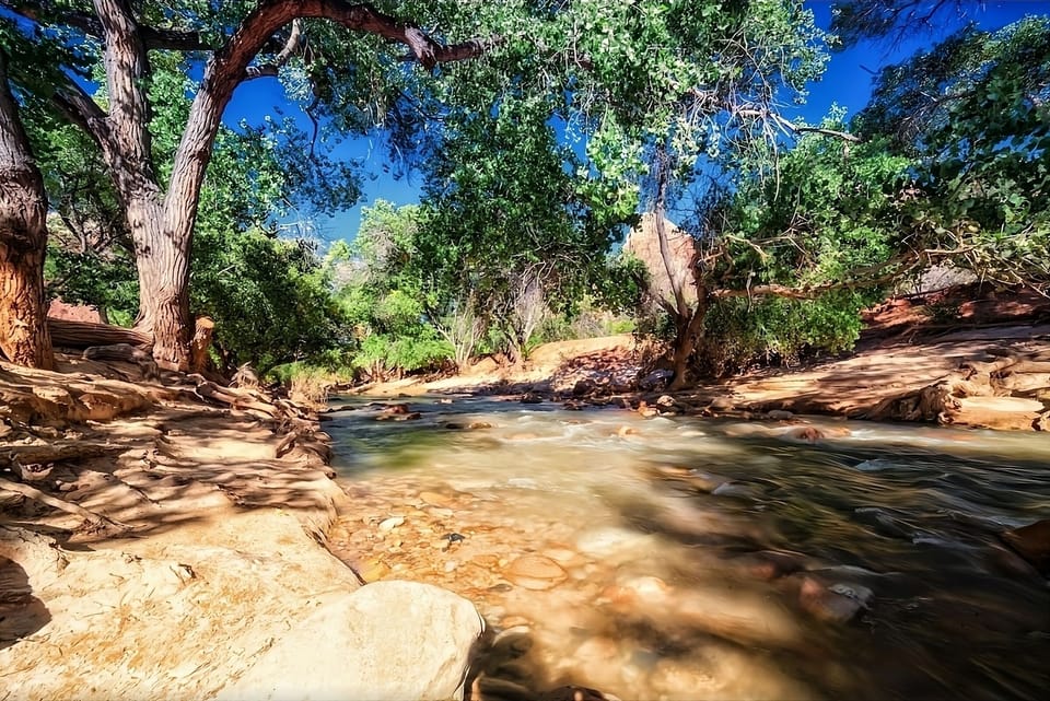 Listen to rushing water while relaxing beside the rocky stream.