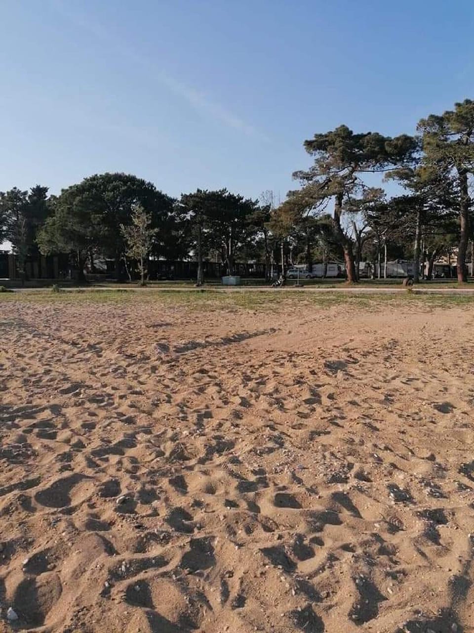 Area