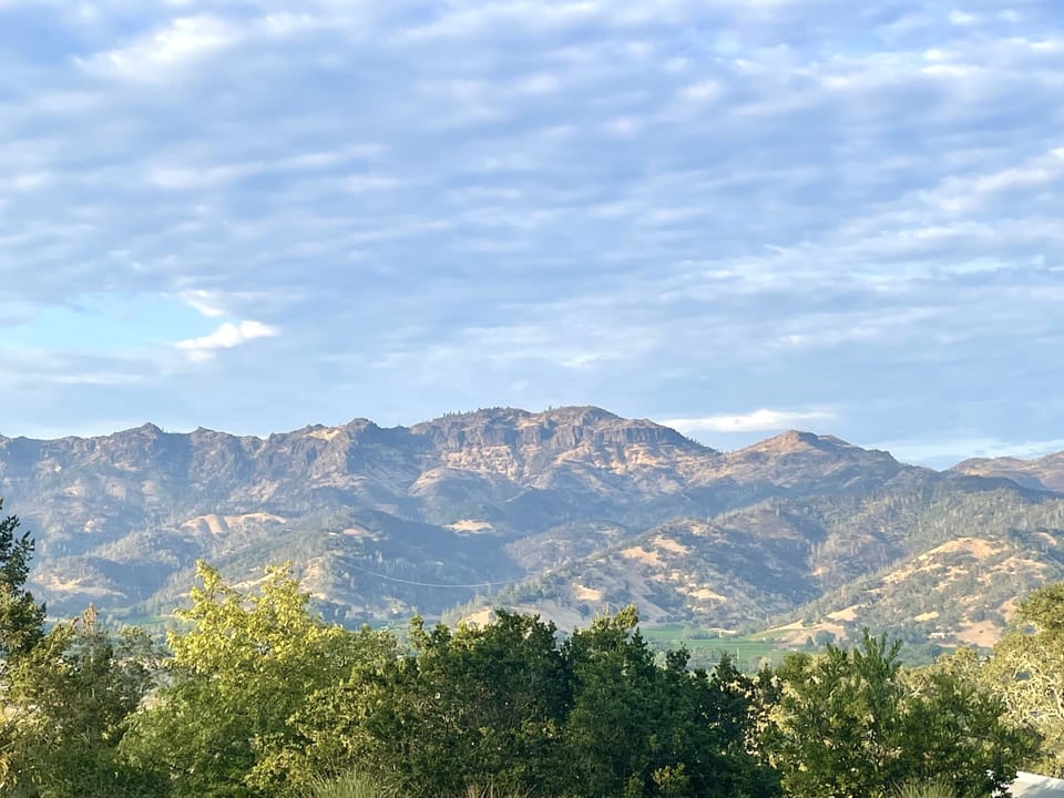 View of the Palisades 