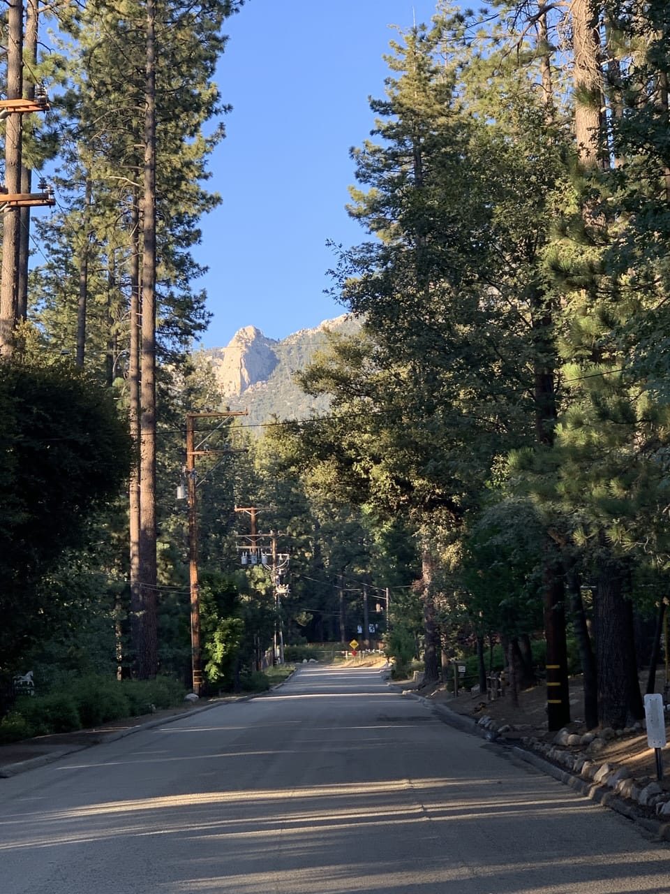 Lily Rock from our street