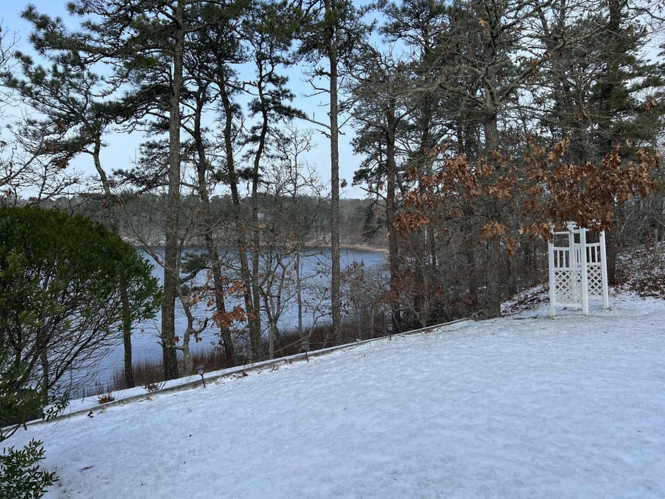 Winter view of front lawn