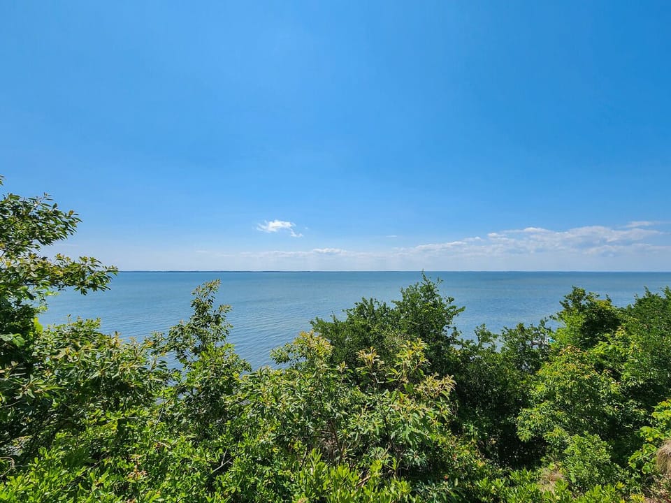 View from Deck 2023