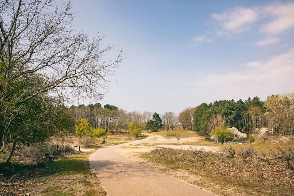 Surroundings [summer] (1-5 km)