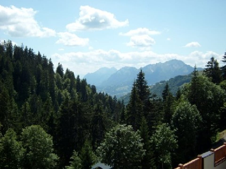View from property