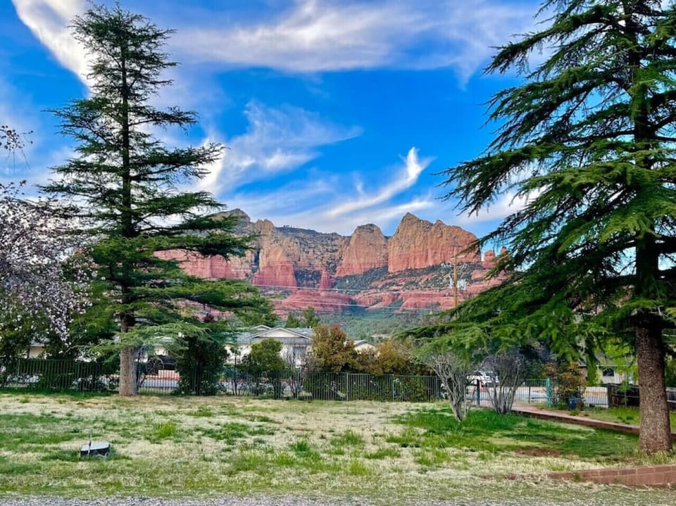 More spectacular scenery from the yard!