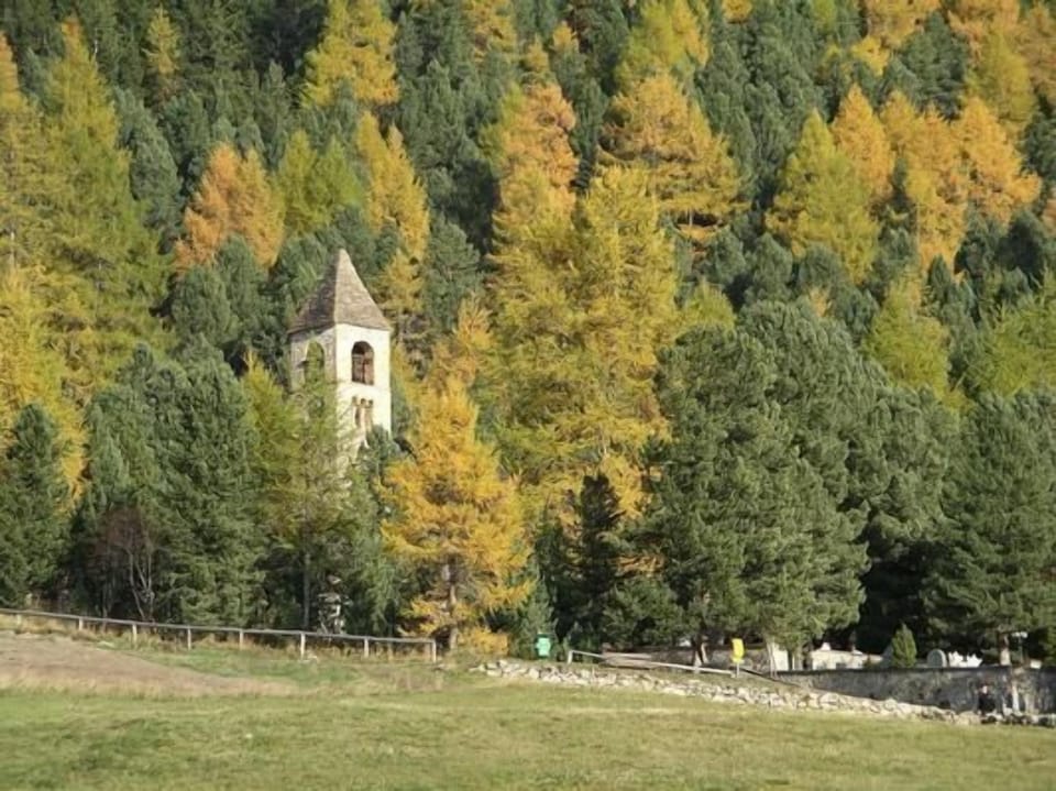 Languard meadow and the church Santa Maria directly behind the house,