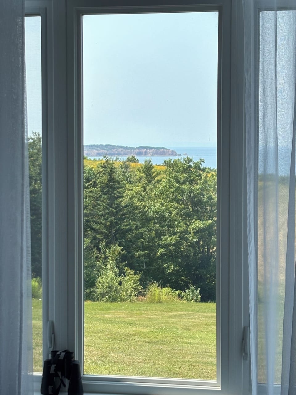 Living room view
