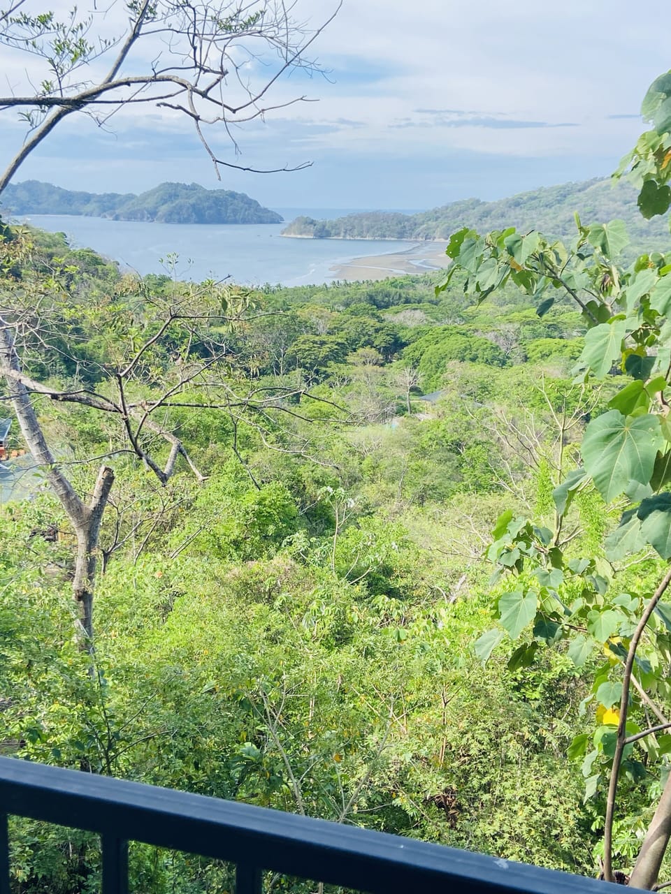 View from property