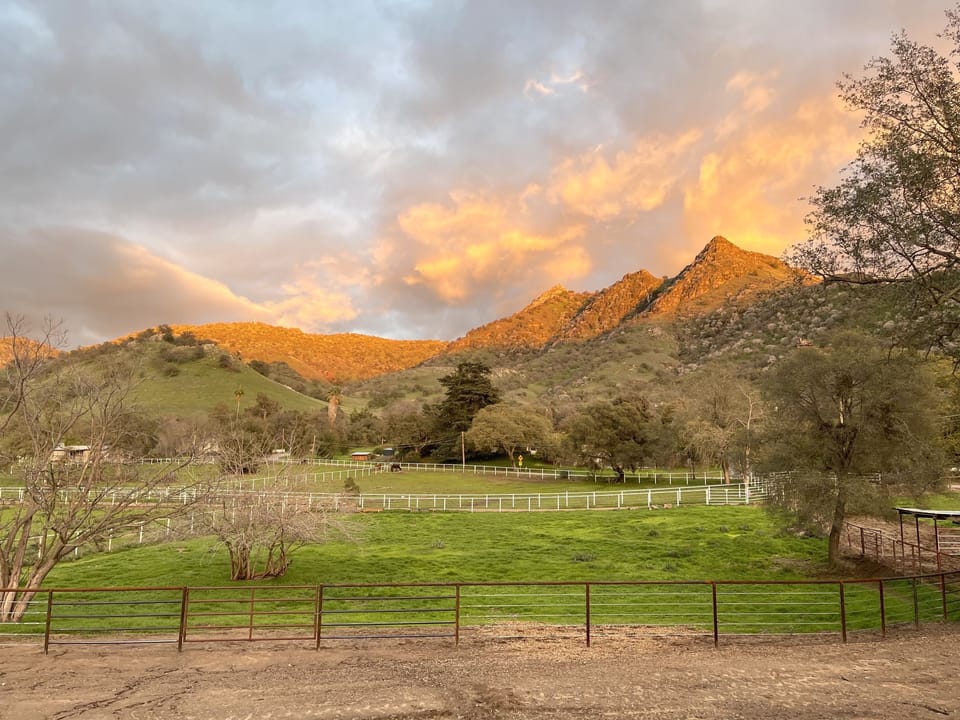 View of Blossom Peak on our property 
