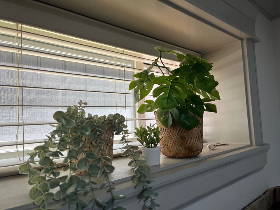 Bedroom windows with blinds, open for fresh air and provide ample natural light