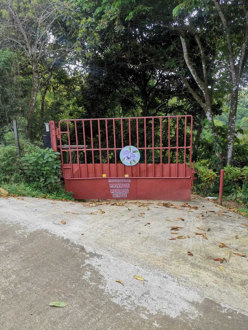 Property grounds