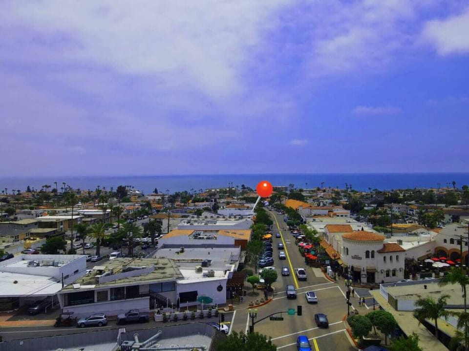 Scenic coastal neighborhood view w/ palm-lined streets & ocean in the distance