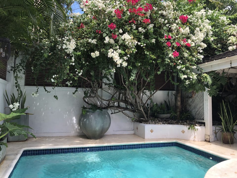 Plunge pool in courtyard 