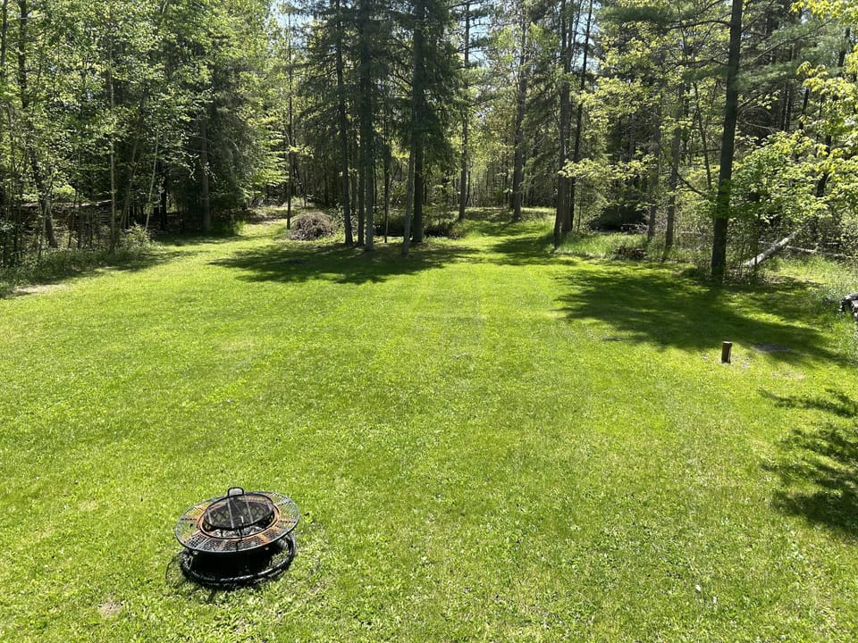 Serene back yard