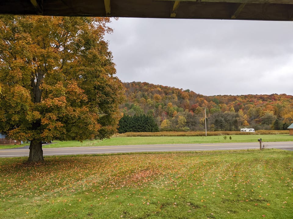 View Out Front window 