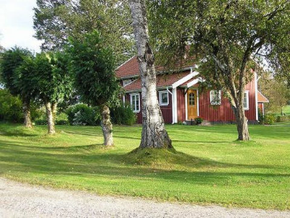 The House