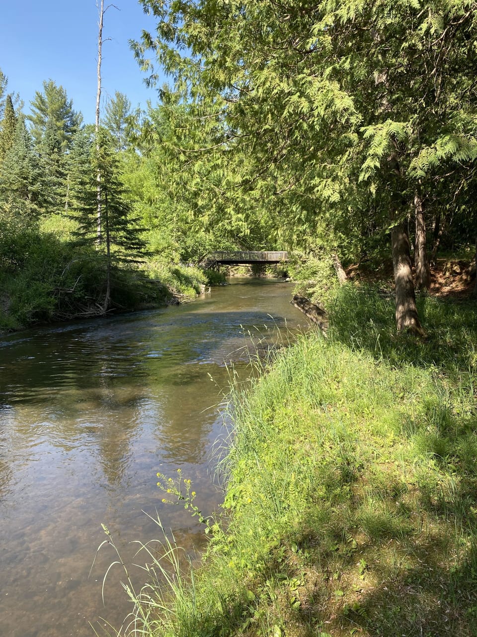 Rifle river again