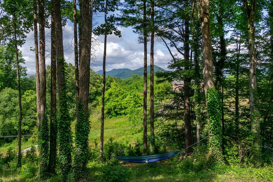 Hammock area in the yard with mountain views.