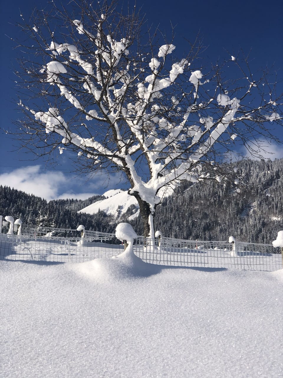 Snow and ski sports