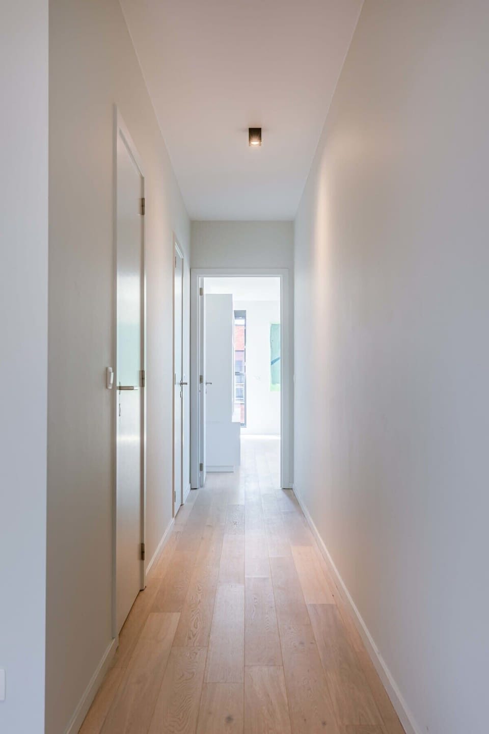 Bright hallway leading to the sleeping area.