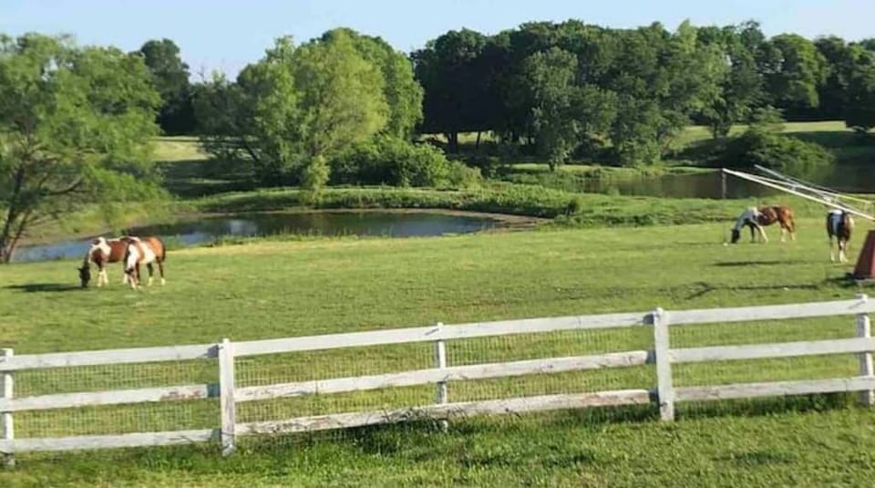 View from back yard. Lots of mature trees and two ponds. 