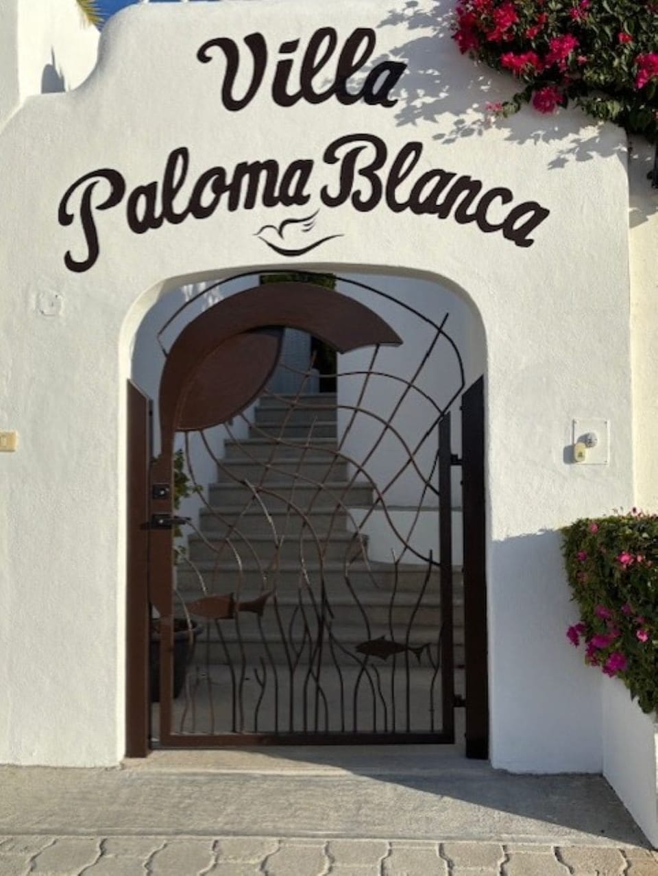 Welcome to Villa Paloma Blanca!  Your home away from home.