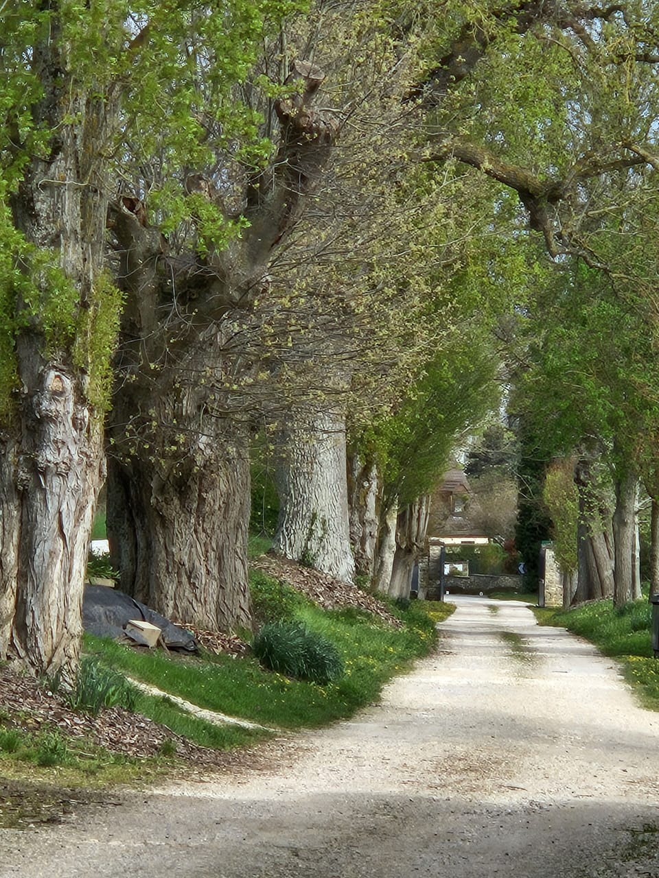 The entrance from the highway