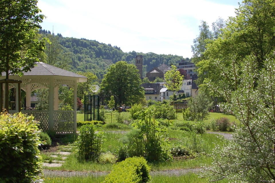 Landscape therapeutic park