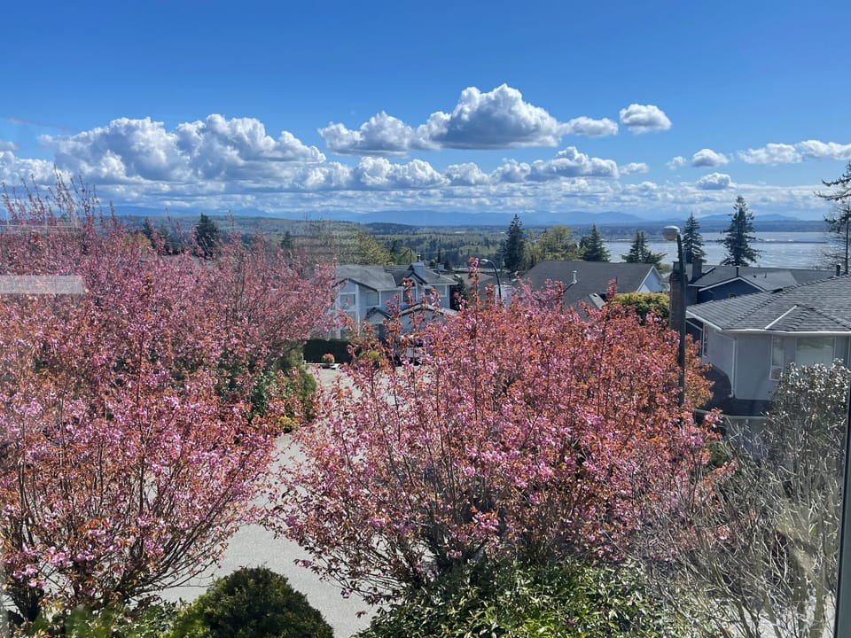 View from property