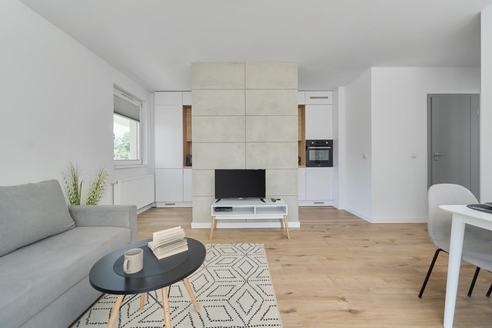 A bright living room featuring a gray sofa, a flat-screen TV, and a decorative rug for a comfortable atmosphere.