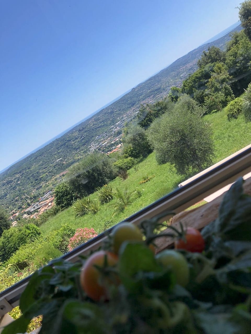 View from property