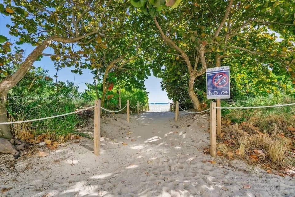 Scenic beach path through lush greenery—your peaceful gateway to sun, sand, and sea.