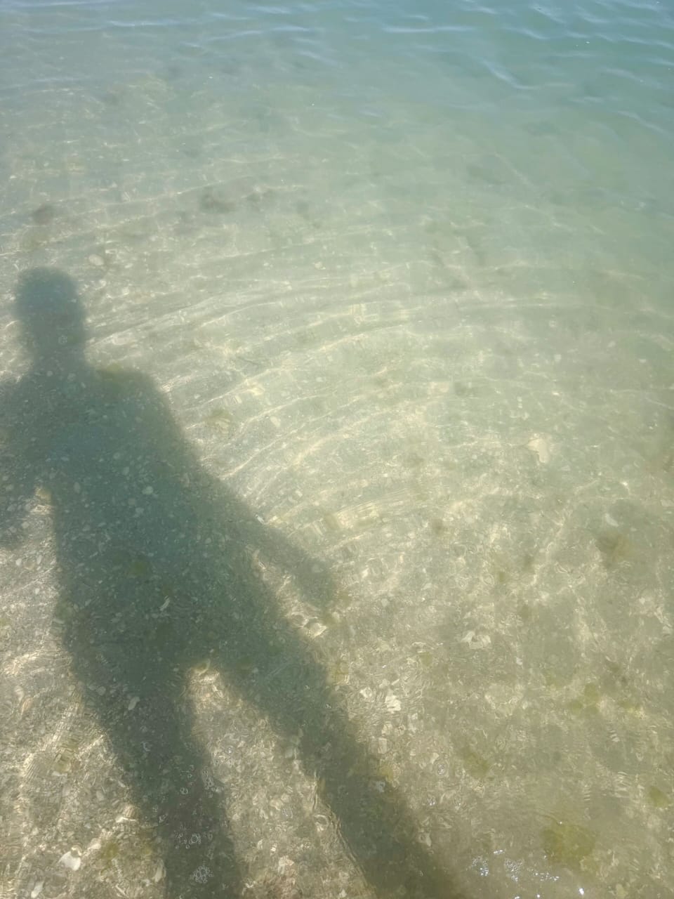 Clear Beautiful water (Jan) ! Stump pass beach state park - short drive away