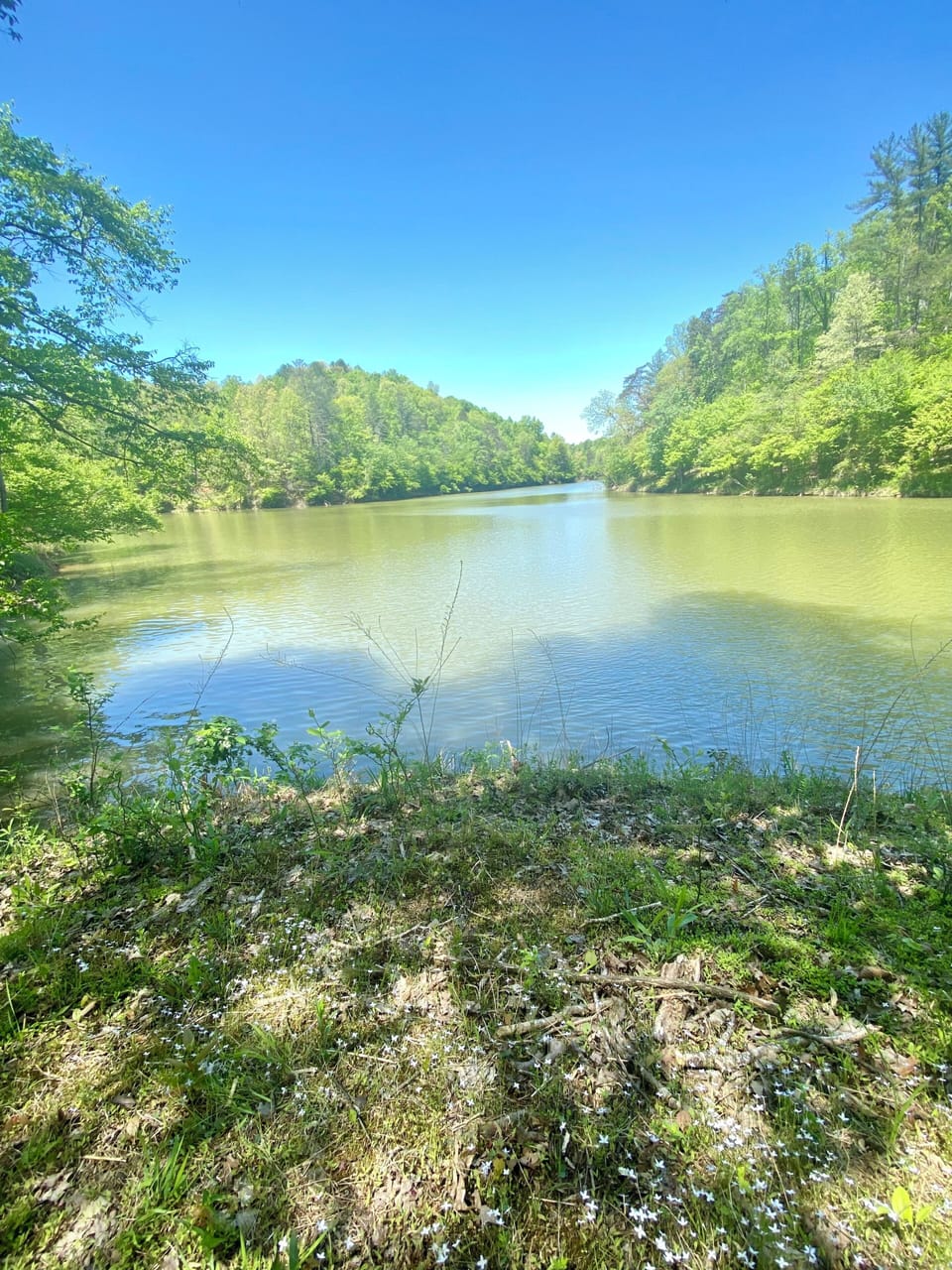 Lake at bottom of property