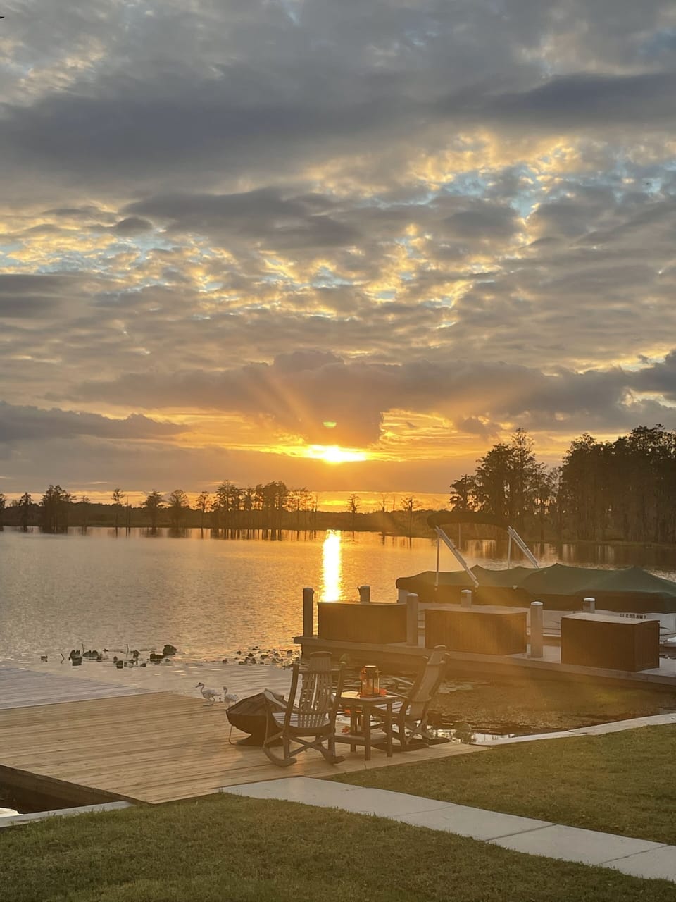View from back yard