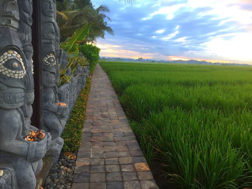 Main gate, Rice fields