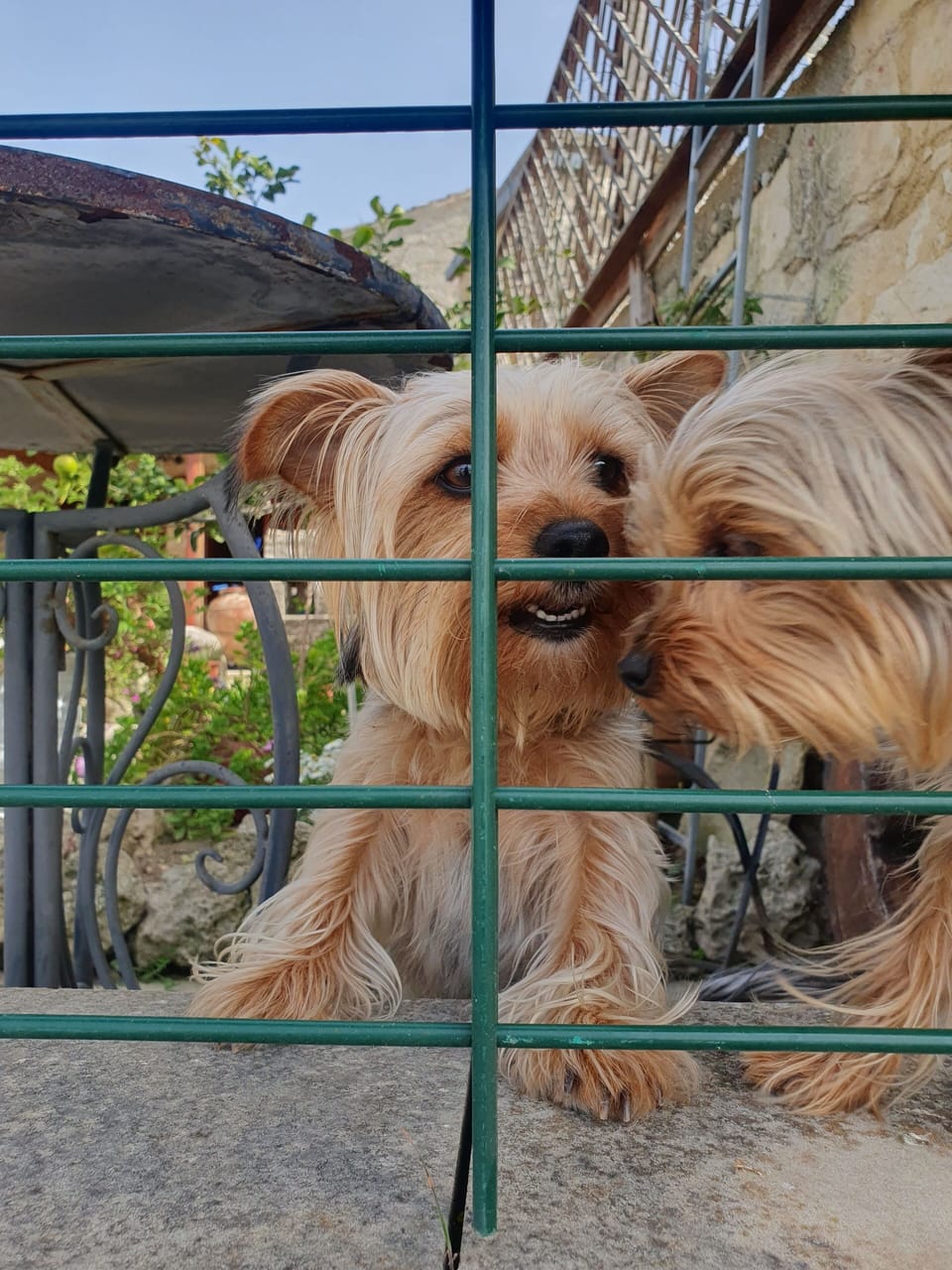 Dog friendly property, fanced so your doggies are safe x