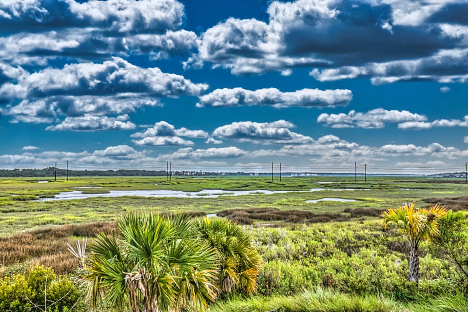 Beautiful Marsh View from Balcony