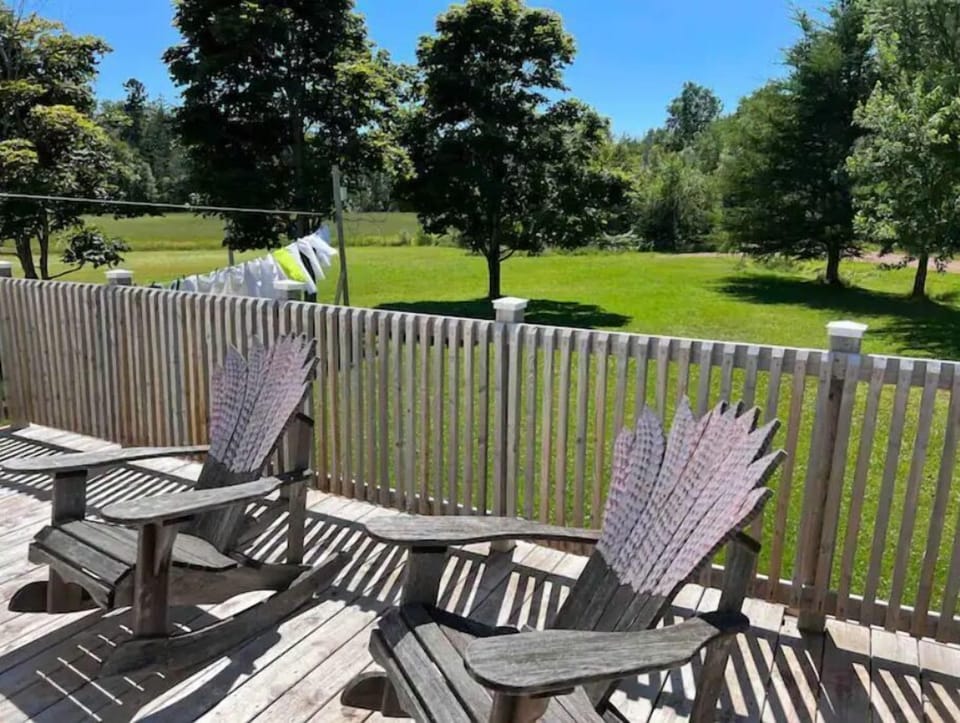 Back yard, a good size yard. Clothesline if you choose to hang your clothes out.